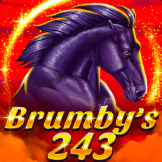 Brumby’s 243